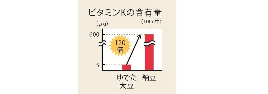 ビタミンKの含有量