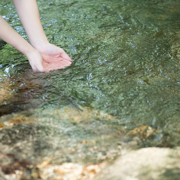 中央アルプスの極軟水