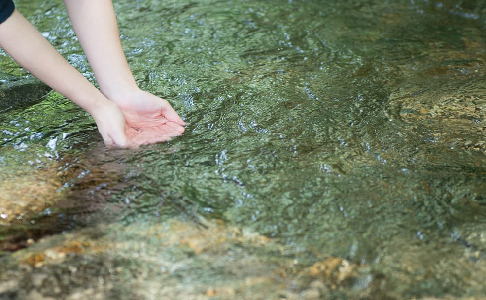 中央アルプスの極軟水