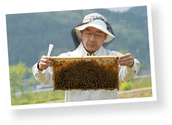 山田養蜂場のはちみつ