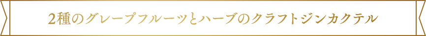 2種のグレープフルーツとハーブのクラフトジンカクテル