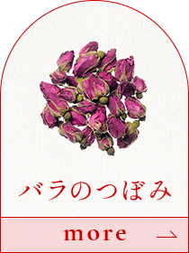 バラのつぼみ