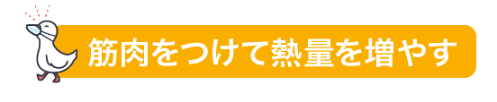 筋肉をつけて熱量を増やす