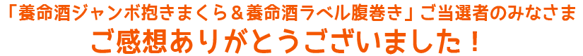  「養命酒ジャンボ抱きまくら＆養命酒ラベル腹巻き」ご当選者のみなさま ご感想ありがとうございました！