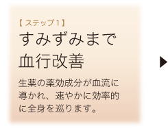【ステップ1】すみずみまで血行改善