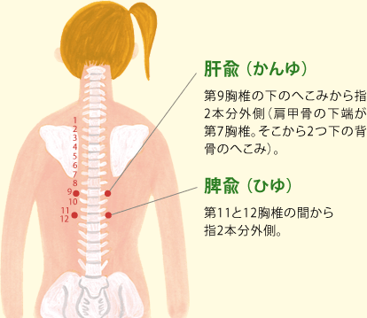 ツボ押しで不調を解消 養命酒製造株式会社 ツボ押しで不調を解消 養命酒製造株式会社