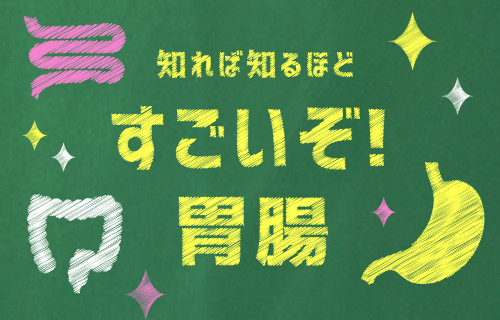 知れば知るほどすごいぞ胃腸！