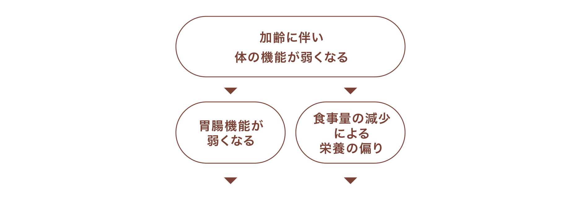 加齢に伴い体の機能が弱くなる⇒胃腸機能が弱くなる・食事量の減少による栄養の偏り⇒