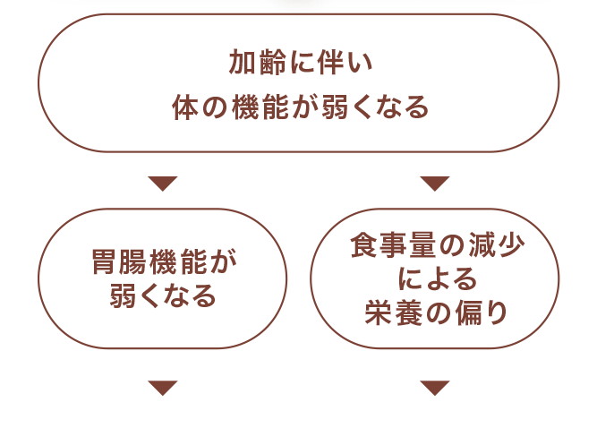 加齢に伴い体の機能が弱くなる⇒胃腸機能が弱くなる・食事量の減少による栄養の偏り⇒