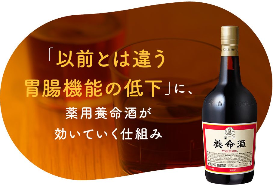 「以前とは違う胃腸機能の低下」に、薬用養命酒が効いていく仕組み