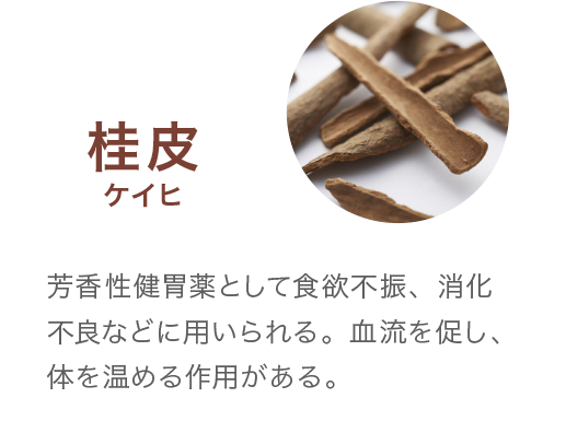 桂皮ケイヒ　芳香性健胃薬として食欲不振、消化不良などに用いられる。血流を促し、体を温める作用がある。