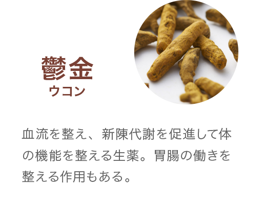 鬱金ウコン 血流を整え、新陳代謝を促進して体の機能を整える生薬。肝臓の機能、胃腸の働きを整える作用もある。