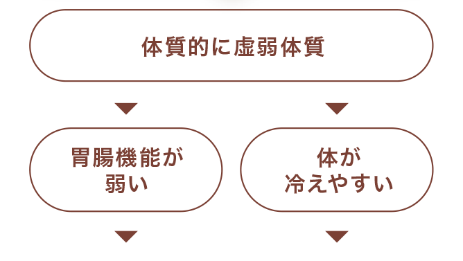 体質的に虚弱体質⇒胃腸機能が弱い・体が冷えやすい⇒