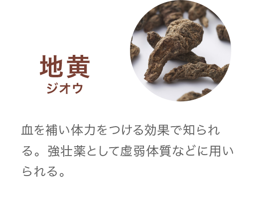 地黄ジオウ 血を補い体力をつける効果で知られる。強壮薬として虚弱体質などに用いられる。