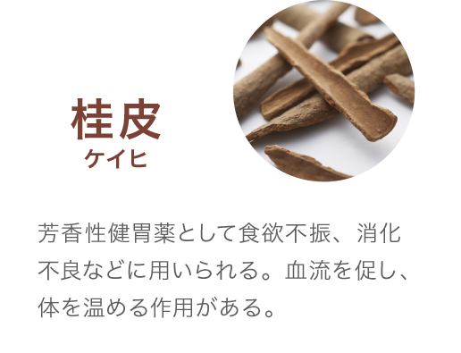 桂皮ケイヒ　芳香性健胃薬として食欲不振、消化不良などに用いられる。血流を促し、体を温める作用がある。