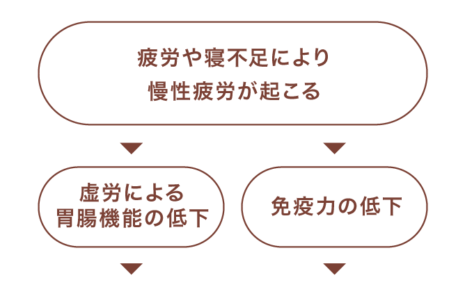 疲労や寝不足により慢性疲労が起こる⇒虚労による胃腸機能の低下・免疫力の低下⇒