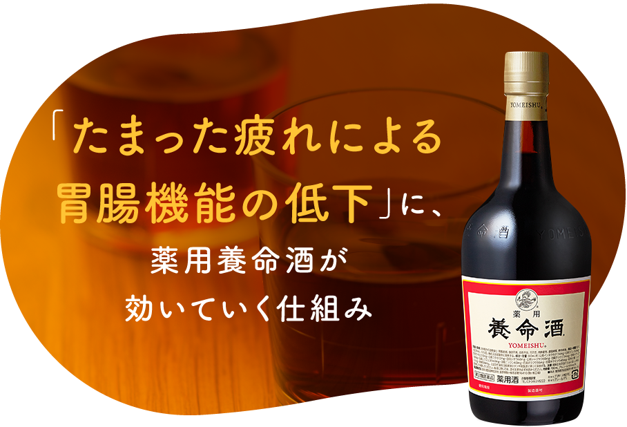 「たまった疲れ胃腸機能の低下」に、薬用養命酒が効いていく仕組み