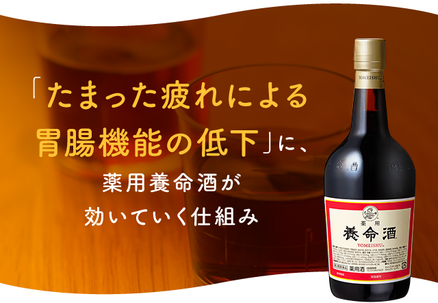 「たまった疲れ胃腸機能の低下」に、薬用養命酒が効いていく仕組み