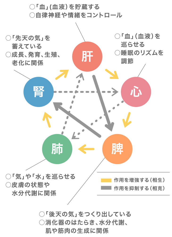 ストレス 痛い 胃 が 胃もたれ、みぞおち痛を慢性化させない