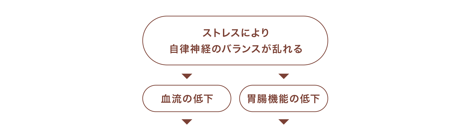 ストレスにより自律神経のバランスが乱れる⇒血流の低下・胃腸機能の低下⇒