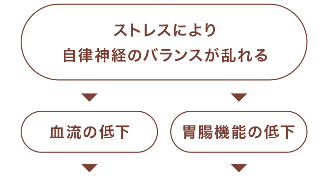 ストレスにより自律神経のバランスが乱れる⇒血流の低下・胃腸機能の低下⇒