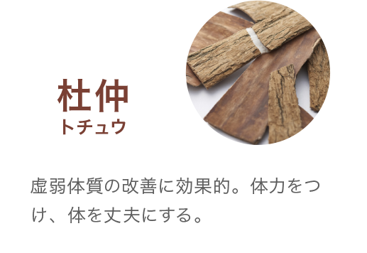 杜仲トチュウ 抗ストレス・虚弱体質の改善に効果的。体力をつけ、体を丈夫にする。