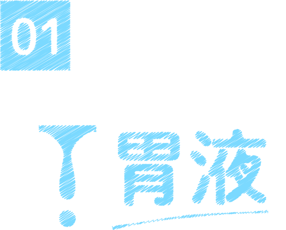 消化も解毒もこなすマルチプレーヤー 胃液