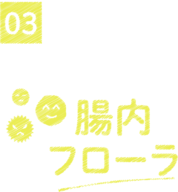 メンタルにもパワーを発揮するバランス重視の平和主義 腸内フローラ