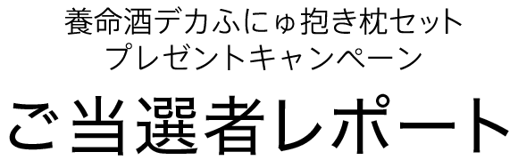 養命酒デカふにゅ抱き枕セットプレゼントキャンペーン ご当選者レポート