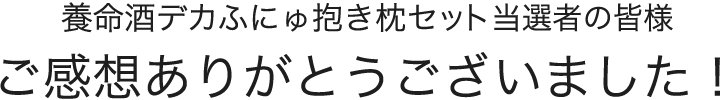 養命酒デカふにゅ抱き枕セット当選者の皆様 ご感想ありがとうございました！