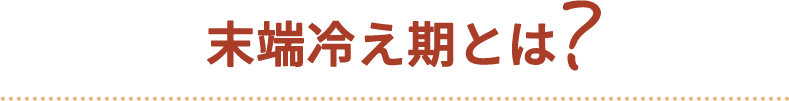 末端冷え期とは?