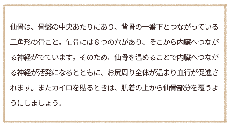 内臓を芯から温める仙骨カイロ