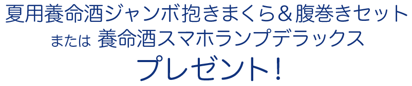 夏用養命酒ジャンボ抱きまくら&腹巻きセット または 養命酒スマホランプデラックスプレゼント!