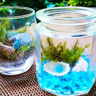 自由研究応援イベント第一弾　苔のテラリウム画像