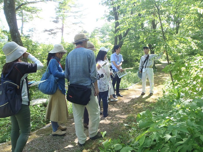 樹木医と行く夏の新緑　健康の森ガイドツアー ～参加費無料～画像