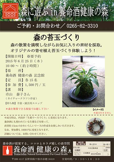 森の苔玉づくり画像