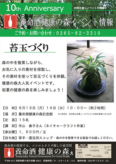 森の苔玉づくり画像