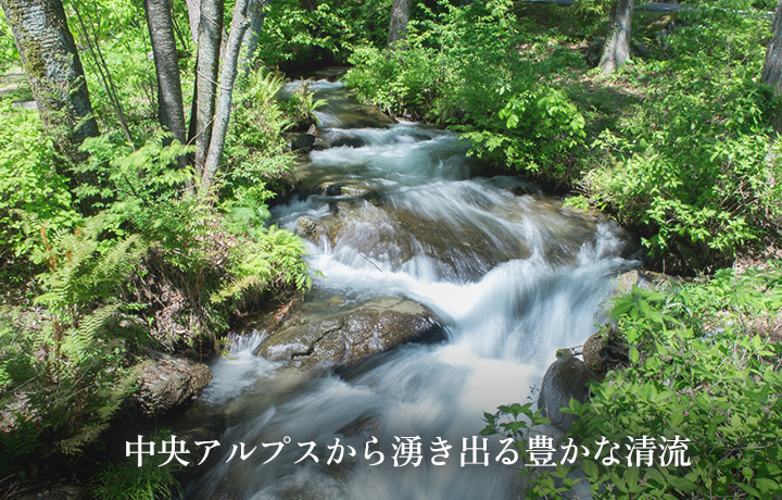 中央アルプスから湧き出る豊かな清流