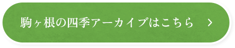 駒ヶ根の四季アーカイブはこちら 