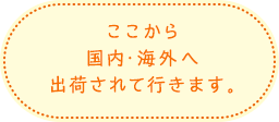 ここから国内・海外へ出荷されて行きます。