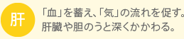 肝：「血」を蓄え、「気」の流れを促す。肝臓や胆のうと深くかかわる。