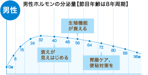 男性｜男性ホルモンの分泌量【節目年齢は8年周期】