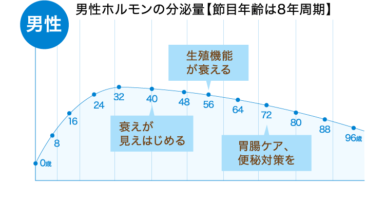 男性｜男性ホルモンの分泌量【節目年齢は8年周期】