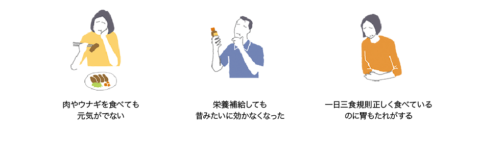 肉やウナギを食べても元気がでない｜栄養補給しても昔みたいに効かなくなった｜一日三食規則正しく食べているのに胃もたれがする