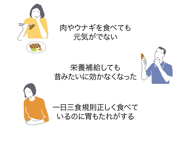 肉やウナギを食べても元気がでない｜栄養補給しても昔みたいに効かなくなった｜一日三食規則正しく食べているのに胃もたれがする