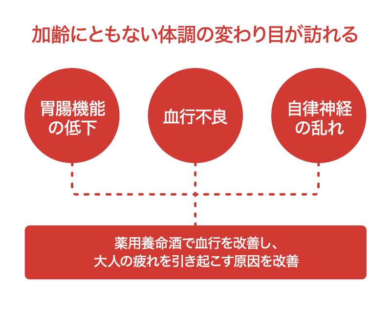 加齢にともない体調の変わり目が訪れる｜胃腸機能の低下／血行不良／自律神経の乱れ｜薬用養命酒で血行を改善し、大人の疲れを引き起こす原因を改善