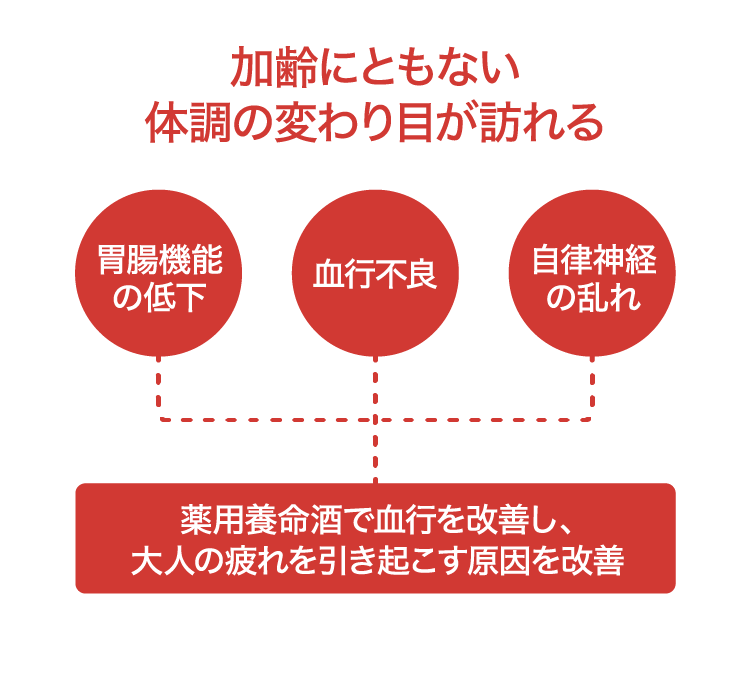 加齢にともない体調の変わり目が訪れる｜胃腸機能の低下／血行不良／自律神経の乱れ｜薬用養命酒で血行を改善し、大人の疲れを引き起こす原因を改善