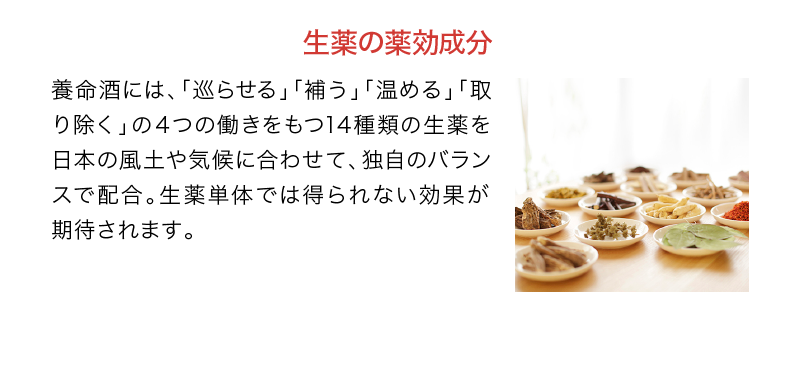 生薬の薬効成分｜養命酒には、「巡らせる」「補う」「温める」「取り除く」の４つの働きをもつ14種類の生薬を日本の風土や気候に合わせて、独自のバランスで配合。生薬単体では得られない効果が期待されます。