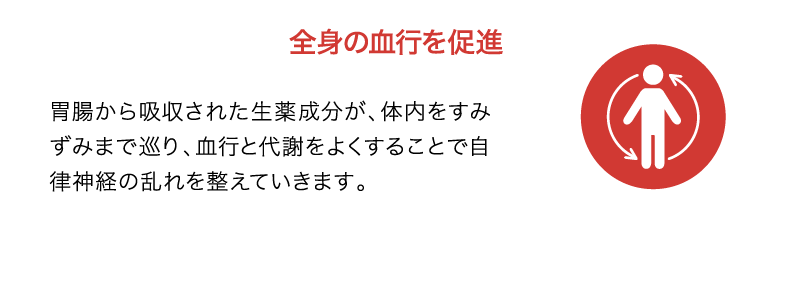 全身の血行を促進｜胃腸から吸収された生薬成分が、体内をすみずみまで巡り、血行と代謝をよくすることで自律神経の乱れを整えていきます。