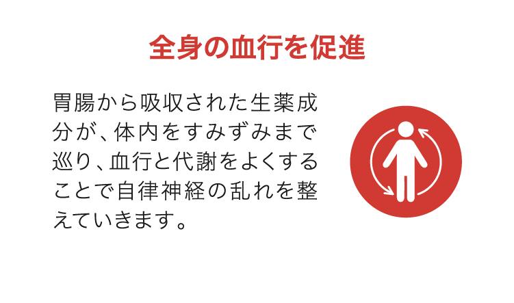 全身の血行を促進｜胃腸から吸収された生薬成分が、体内をすみずみまで巡り、血行と代謝をよくすることで自律神経の乱れを整えていきます。